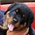 Kammi Motti's profile image