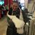 Gina Matyas's profile image