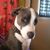 Beck Brunken's profile image