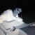 Michelle Emanuelson's profile image