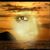 Melissa Bonner's profile image