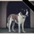 Erick Cabral's profile image