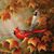 Janelle Wingert Ofs's profile image