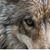 Dee Bernardo Schaefer's profile image