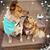 Carol Brown's profile image