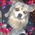 Carrie Kaufmann-Vaticano's profile image