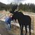 Karen Stowe's profile image