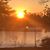 Nicole Roberts-Bulanda's profile image