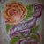 Danniel Rojas's profile image
