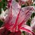Joyce Smith's profile image