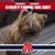 Jane Phillips's profile image