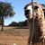 Karen Garrett Lira's profile image