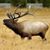 Bud Monts's profile image