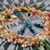 Susan D Shrewder's profile image