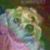 Erica Brandoli's profile image