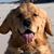 Tom Schermerhorn's profile image