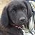 Ron Newman's profile image