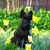 Lynda Dixon's profile image