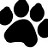 Amplicon's profile image