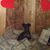 Marsha Greenling's profile image