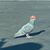 Jim Morgin's profile image