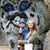 Laura Higgenbotham's profile image