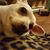 Sharon Lubbesmeyer's profile image