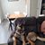 Cindy Radlund's profile image