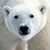 Brent Johnson's profile image