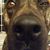 Angie Eschmann's profile image