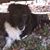 Ken Humphress's profile image