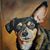 Sheila Matthews Hicks's profile image