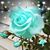 Carolyn Rose Bonner's profile image