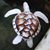 Tammy Wilson's profile image