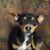 Paul Seeley's profile image