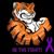 Megan Sunderland Suokko's profile image