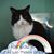Tammy Miller's profile image
