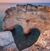 Sue Hansson's profile image