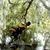Sajda Sims's profile image