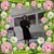 Kristine Dutcher's profile image