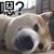 Jin Liang's profile image