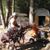 Terry Goatz's profile image