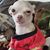 Amanda Burris's profile image