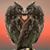 Pam Jones's profile image