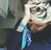 Mohamad Al Fandi's profile image