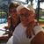 Anthony A Bilotta's profile image