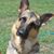 Joanne Montour Gurr's profile image