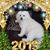 Carolyn Jo Johnson's profile image
