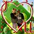 Trimell L McRae's profile image