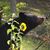 Cindy Branson's profile image